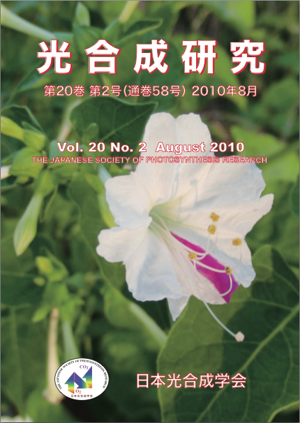 光合成研究58号