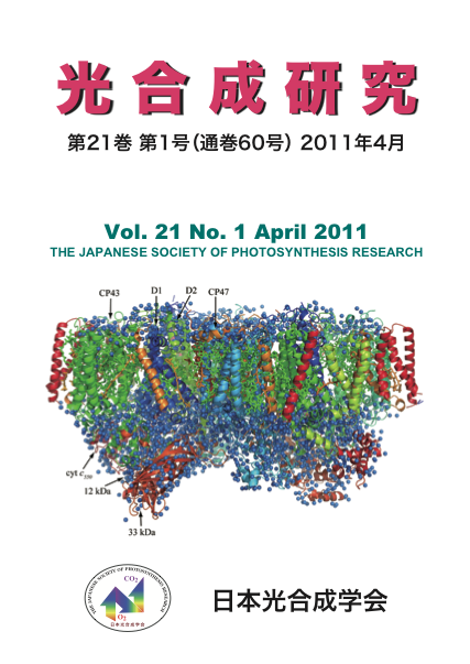 光合成研究60号