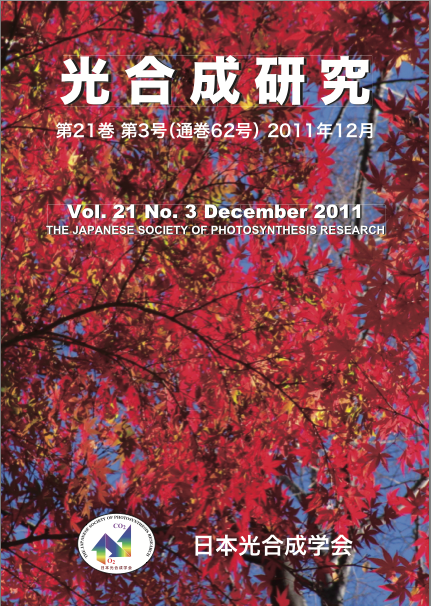 光合成研究62号