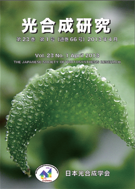 光合成研究66号