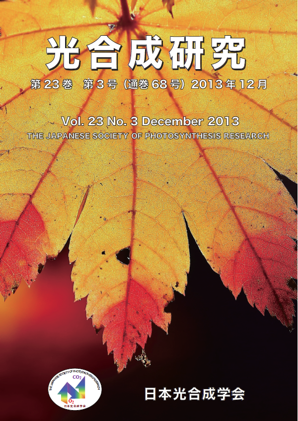 光合成研究68号