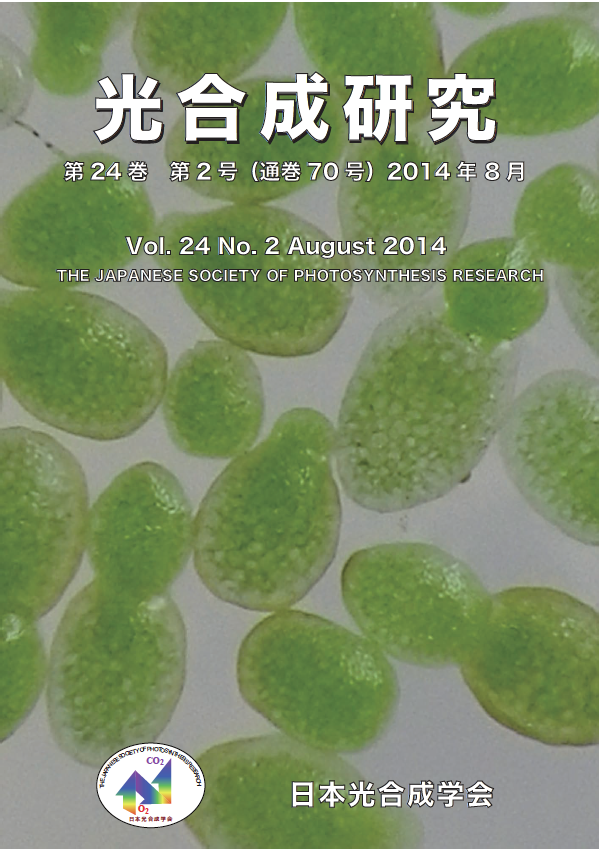 光合成研究70号
