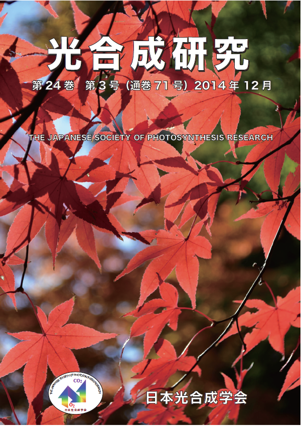 光合成研究71号
