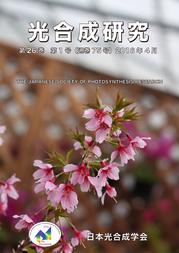 光合成研究75号