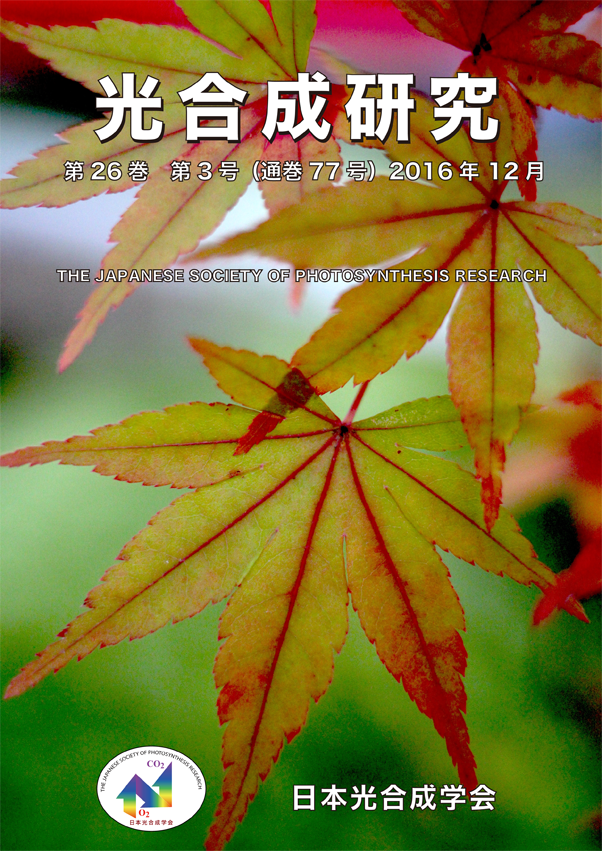 光合成研究77号