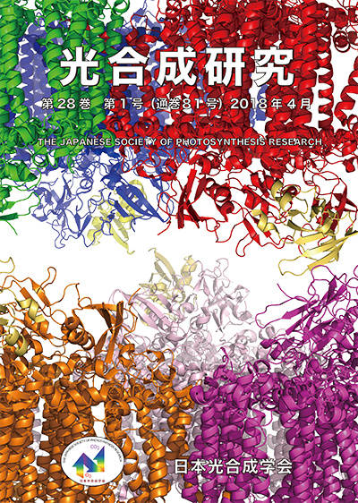 光合成研究81号
