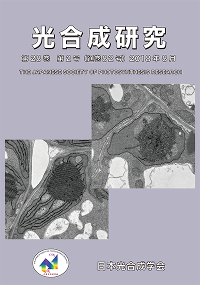 光合成研究82号