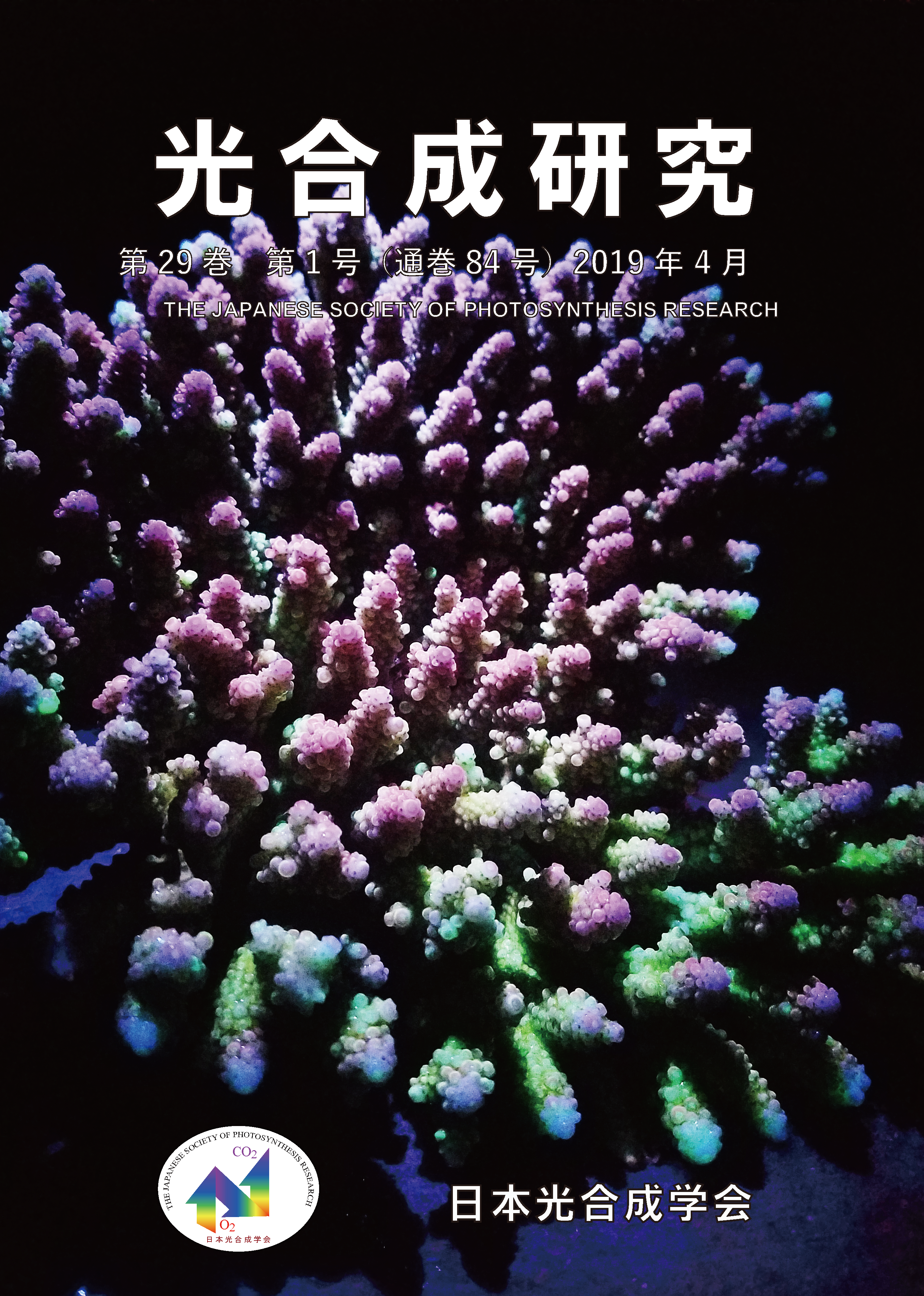 光合成研究84号