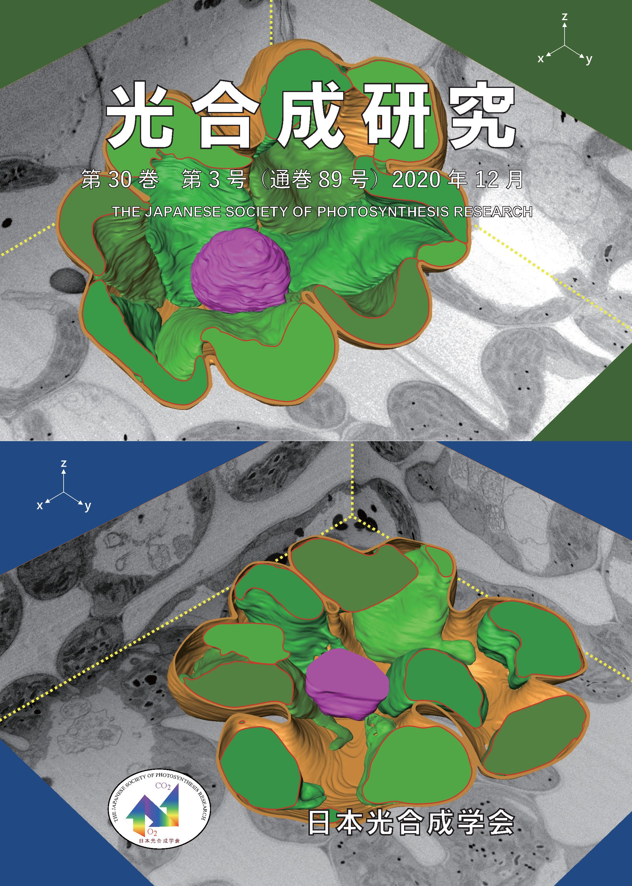 光合成研究89号