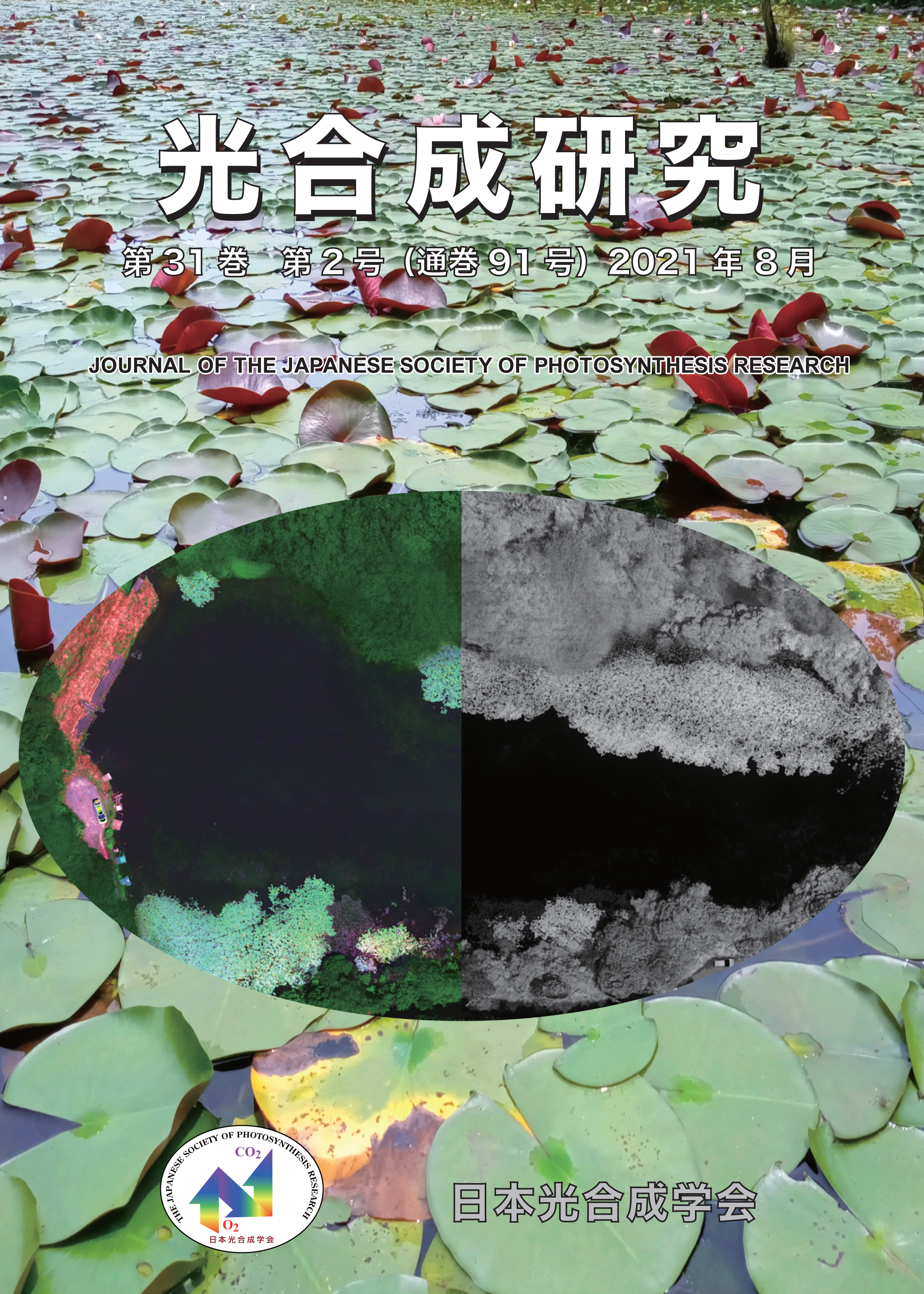 光合成研究91号